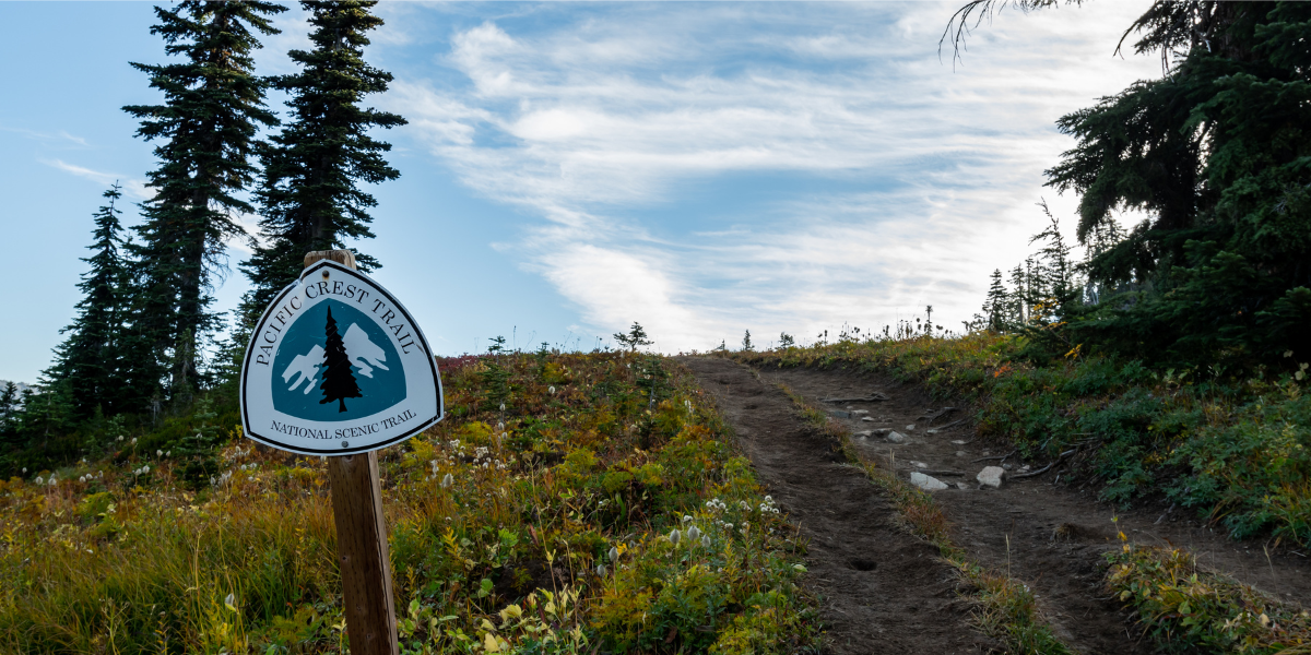 An official PCT sign alongside the trail.